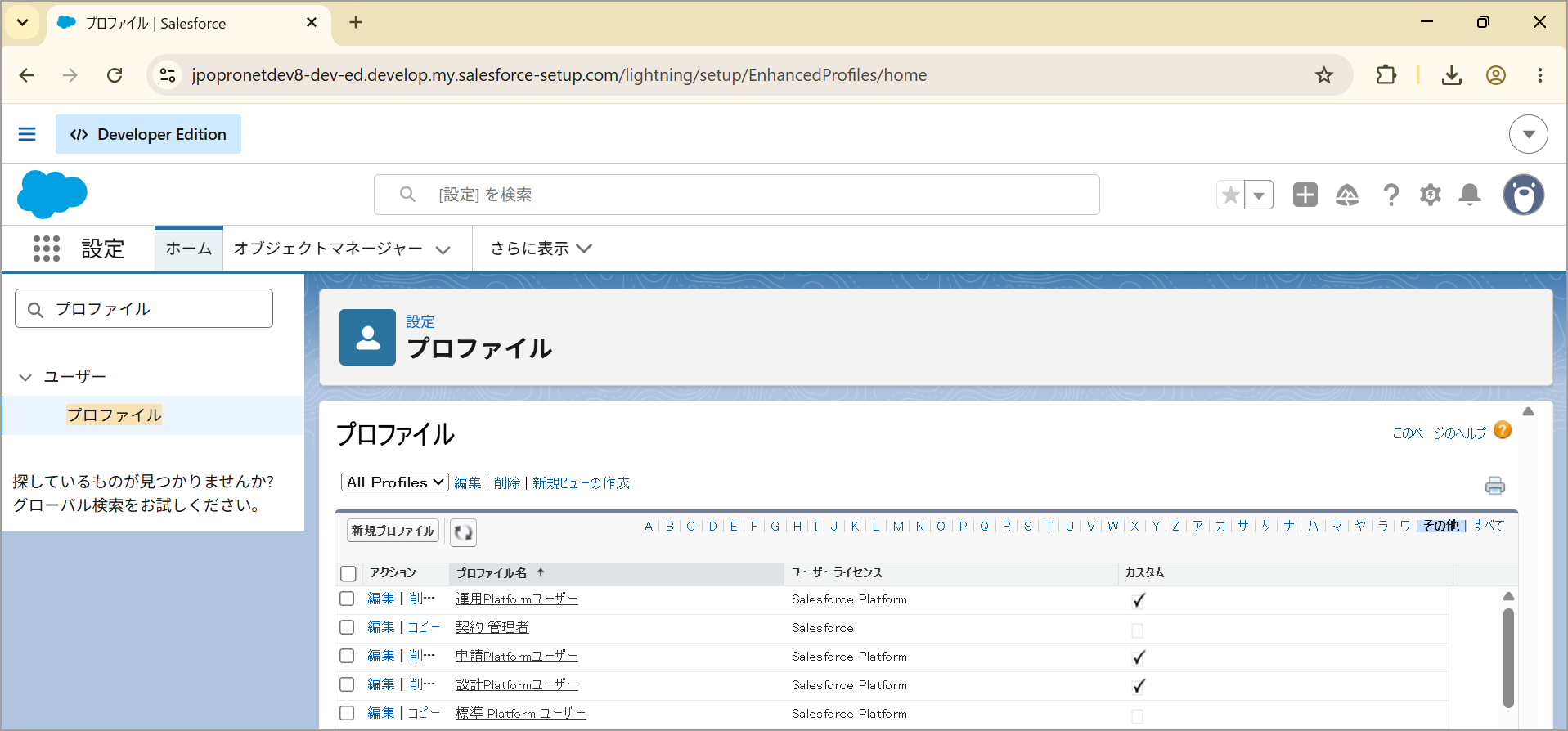 07_kamiless_initial_profile_01.png